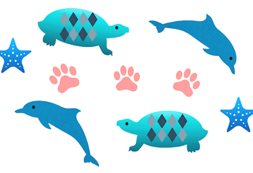 Wall Decals Kids Rooms