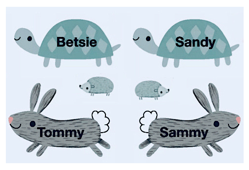 Custom Removable Wall Decals